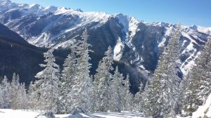 10885474_10204766410373511_4127405263603778524_n